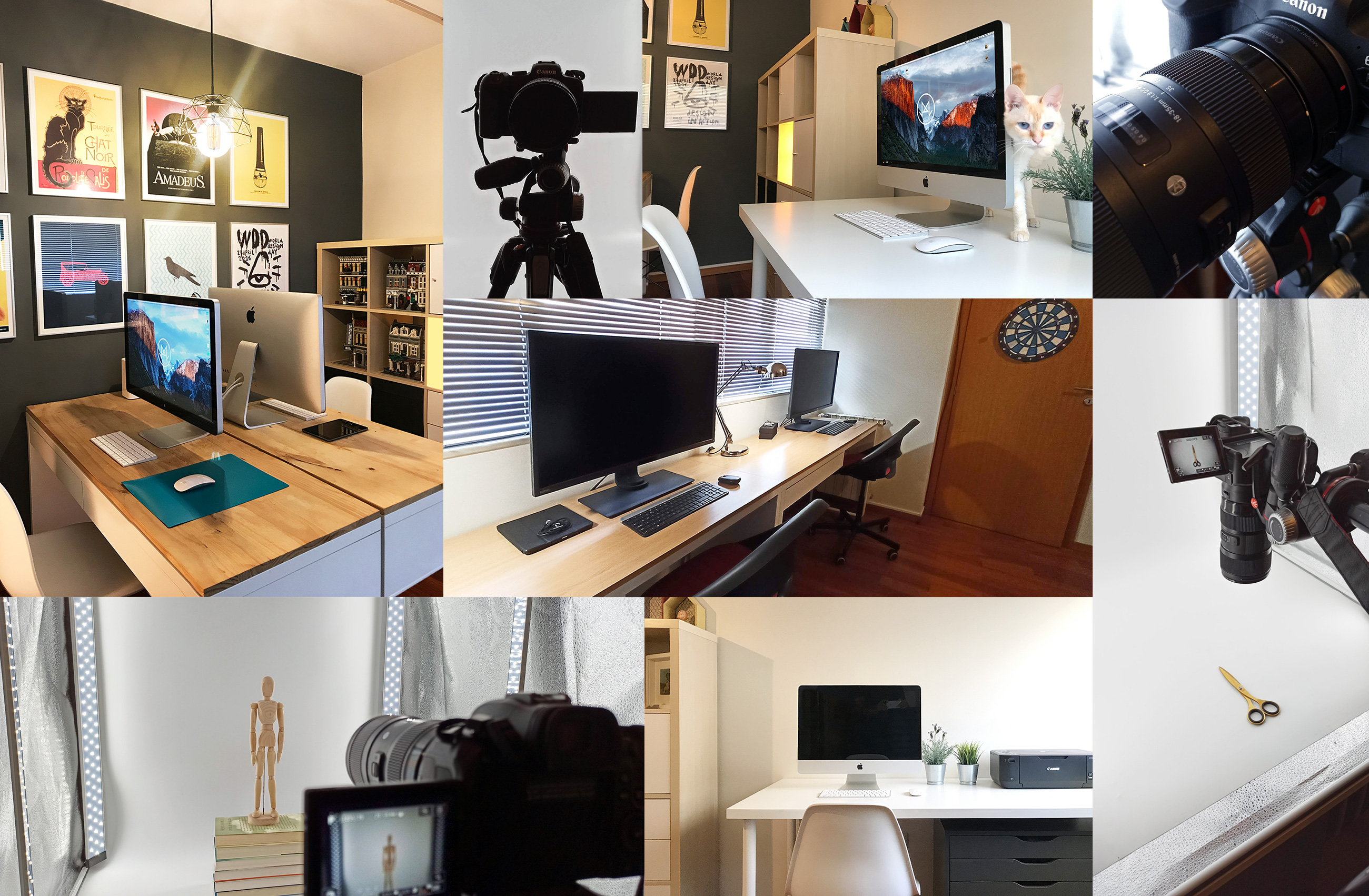 office-agency-avelina-studio