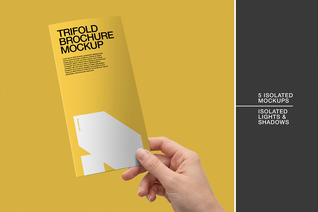 A hand holding a trifold brochure mockup on a split yellow and dark grey background highlighting 5 isolated mockups with independent lights and shadows.